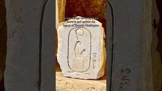 New Discovery #history #egyptology #art #egypt