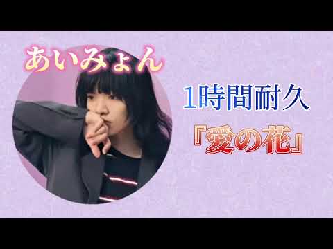 【１時間耐久】愛の花