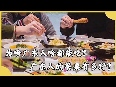 Plus版“老鼠”，巨無霸“蟑螂”，不吃辣的廣東人餐桌能有多野？