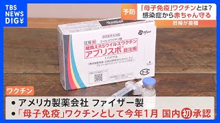 国内初“母子免疫”ワクチン　妊婦が接種し生まれてくる赤ちゃんを「RSウイルス」から守る｜TBS NEWS DIG