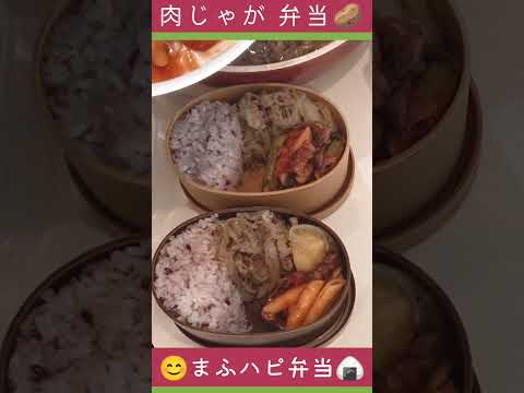 【まふハピ弁当】肉じゃが弁当 #まふハピ弁当