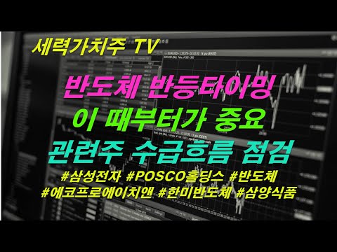 [주식 08.15] 반도체 반등타이밍,이때부터가 중요, 관련주 수급흐름 (#삼성전자 #POSCO홀딩스 #반도체 #에코프로에이치앤 #한미반도체 #삼양식품) #세력가치주