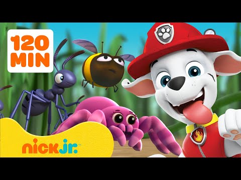 Paw Patrol | ¡PAW Patrol: Rescates y Aventuras con Insectos! 🐝 2 Horas | Nick Jr. en Español