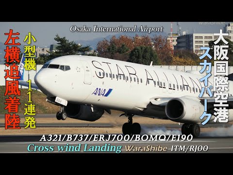 伊丹空港 横追風着陸 カニアプローチで攻める 小型11機 | 4K Landing Touchdown in Osaka ITAMI Airport ITM/RJOO