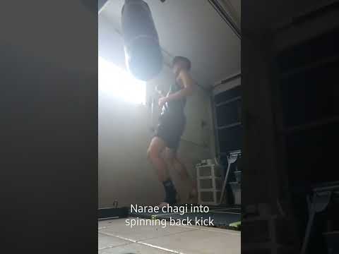 Narae Chagi (taekwondo double round kick) into spinning back kick #shorts #taekwondo