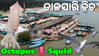 Talasari Beach ⛱️ | Seafood & Boating | Digha |