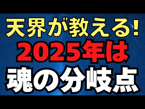 天界から訊いた。２０２５年は魂の分岐点　日本の国番号「81」に秘められた意味　2024/12/28