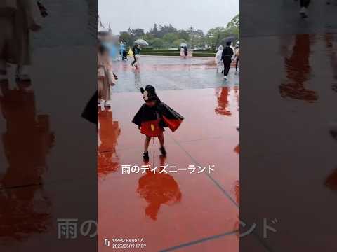 雨のディズニーランド　2歳7ヶ月男の子