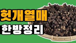 술잡는 헛개열매 먹는방법 두가지!! / 가격,효능,먹는법까지 [약방청년의 한방정리]