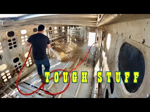 The Crappiest Job In Trucking — Cow Trailer Washout ASMR (ep.26)