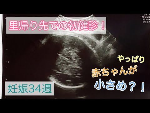 【妊娠後期】【里帰り出産】地元に戻りました！病院の違いや赤ちゃんの経過報告！