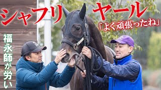 【シャフリヤール】2021年ダービー馬が退厩　かつての主戦・福永祐一師が顔をなでて労う「よく頑張ったね」