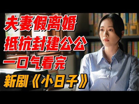 一口气看完《小日子》，夫妻假离婚只为对付父母 #中国电视剧 #影视解说 #大陆剧