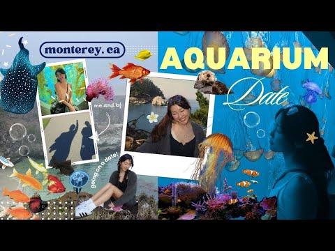 day in my life: cutest date idea  🦦🐚🪸(monterey bay aquarium!)