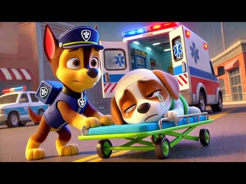 GOODBYE RUBBLE , PLEASE WAKE UP?! Very SAD Story | Paw Patrol Ultimate Rescue | Rainbow 3