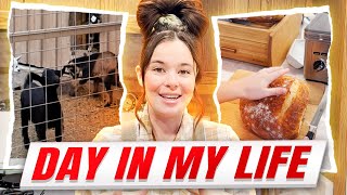 A Day In The Life Of A Homesteader