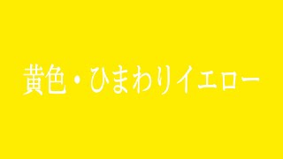 ジャニーズ黄色ひまわりイエロー メンバーカラー