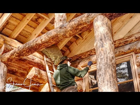 Installing hinges on the front door, flashing on the chimney, insulation around the windows