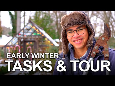 Early Winter Garden Tasks, Tips, Tour