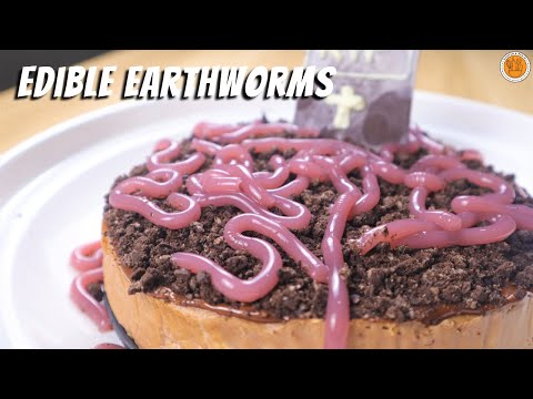 Spooky Chocolate Cheesecake with Edible Earthworms! | Mortar and Pastry