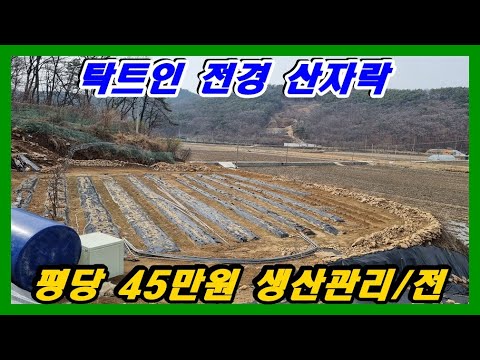 시세보다 저렴한청정지역 산자락토지 약457평 전망가림없어요#강화부동산#강화토지#강화전원주택#강화도부동산#강화도토지#강화도전원주택#강화땅#강화농막