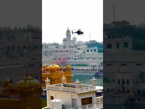 Petals showered on Darbar Sahib #gururamdassahibji #alertnews_hd #latestpunjabnews #punjablatestnews