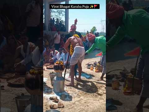 maihar ki bhawani mata sharda ✨ | Virat Bhagat Karaha Puja 🚩 | baba kashidas karaha puja 🙏🏻 #shorts