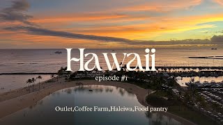 【Hawaii Trip #1】6泊8日のハワイ旅行🌺 出発〜1日目|ヒルトンハワイアンビレッジ🏨|ワイケレプレミアムアウトレット👜|コーヒーファーム☕️|ハレイワ🏝️|フードパントリー🛒