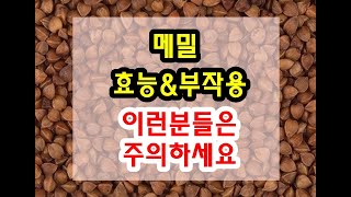 메밀 효능과 부작용 잘 알고 드셔야해요~