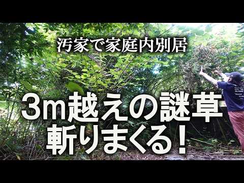 【片付け】汚山開拓してるけど、体調がヤバすぎる｜汚部屋｜ズボラ主婦｜空き家｜庭作業｜外仕事