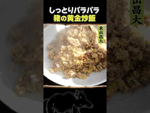 東出昌大 / 猪の黄金炒飯