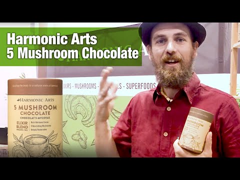 Harmonic Arts 5 Mushroom Chocolate Elixir with Herbal Jedi Yarrow Willard | National Nutrition