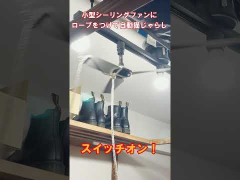 小型シーリングファンで自動猫じゃらしをDIY