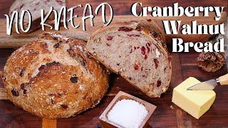 No Knead Cranberry Walnut Bread Recipe | Soft, Chewy, Delicious & Easy | Homemade Artisan Bread