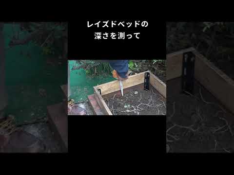 【diy】腐りにくい木材レイズドベッドの作り方ショート#shorts