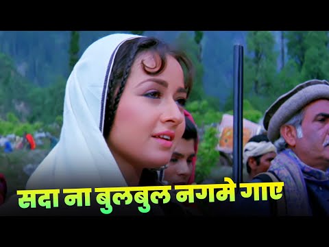 Sada Na Bulbul Nagme Gaye : Lata Mangeshkar | 90s Best Hindi Song | Zeba Bakhtiar | Rishi Kapoor