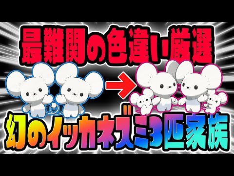 【確率1/409600】幻のイッカネズミ3匹家族証持ち色違いを狙っていきます！Part23【ポケットモンスター スカーレット・バイオレット/SV】