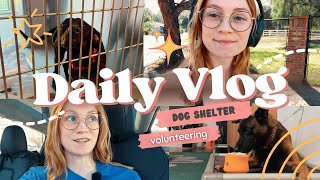 Vlog + Dog Shelter Volunteering