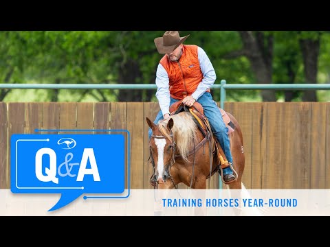 Training Horses Year-Round - Q&A