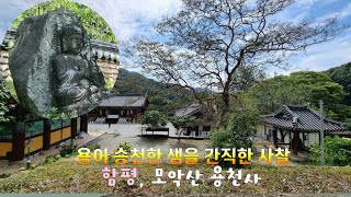 용이 승천한 샘을 간직한 사찰 - 함평, 모악산 용천사