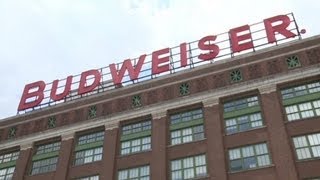 Inside Budweiser's largest brewery