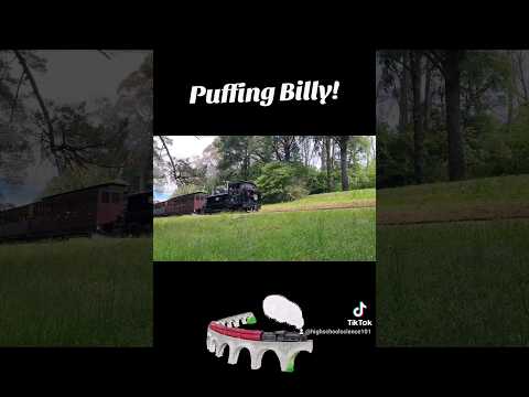 Australia's oldest railway - Puffing Billy!