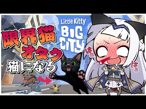 【ゲーム配信】限界猫オタクがやるとこうなる＃01【Little Kitty,Big City】