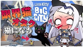 【ゲーム配信】限界猫オタクがやるとこうなる＃01【Little Kitty,Big City】