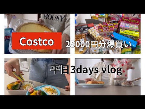 [主婦vlog]寝坊した日のお弁当作り🌤️/専業主婦の日常🪴🤎/Costco購入品紹介🛒