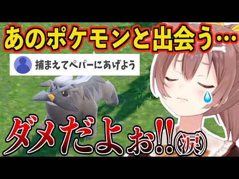 【戌神ころね】あだ名の付け方がおもしろすぎるころさんのポケモンSVパート５【ホロライブ】