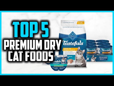 ✅Top 5 Best Premium Dry Cat Foods in 2024