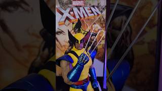 Sixth Scale Wolverine ‼️‼️‼️ #sixthscale #wolverine #unboxing #xmen