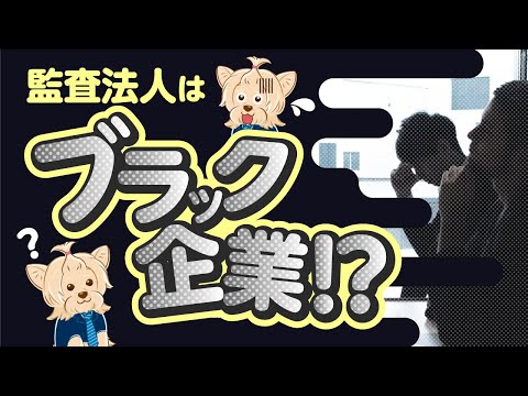 監査法人はブラック企業！？(真実を全て話しました)【公認会計士】