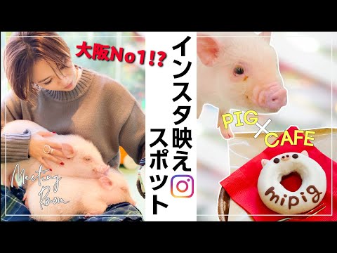 【カフェ】今大阪で超話題？！SNS映えスポット